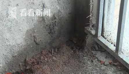 “霉花”朵朵开……交房才半年 外墙频频渗水！28名业主苦不堪言