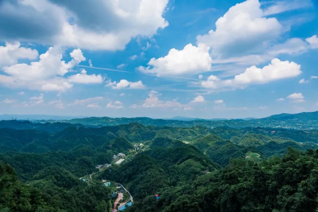 宜昌交通违章查询,宜昌交通违章查询官网