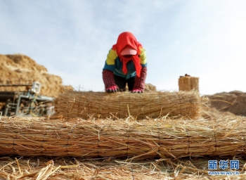 建党百年看中国丨绿色发展之节约循环高效利用资源