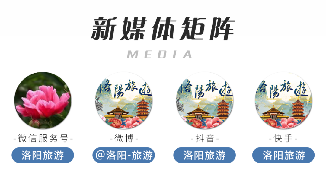 洛阳最新消息汇总！暂停、取消、闭园……