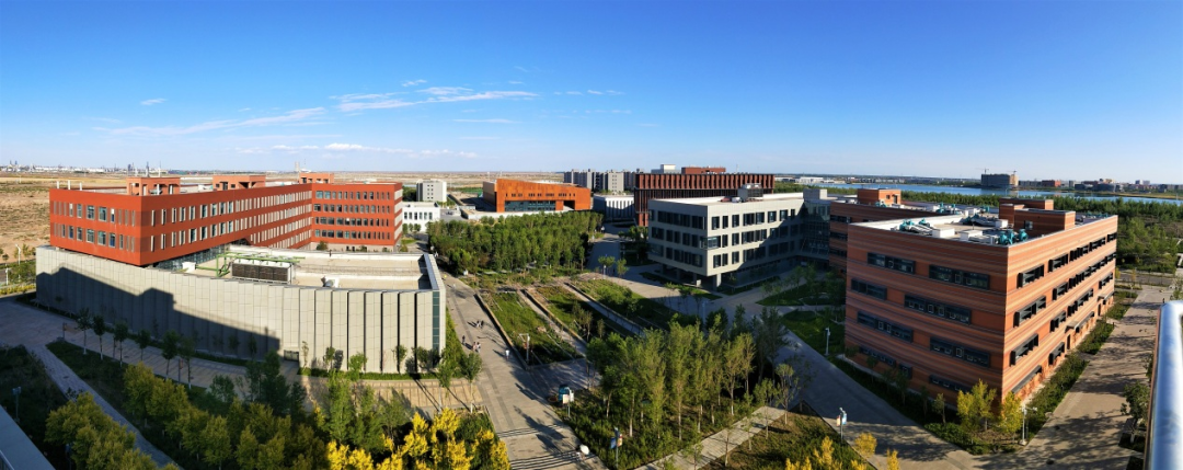 有编制、招聘90人！新疆第二医学院招聘教师