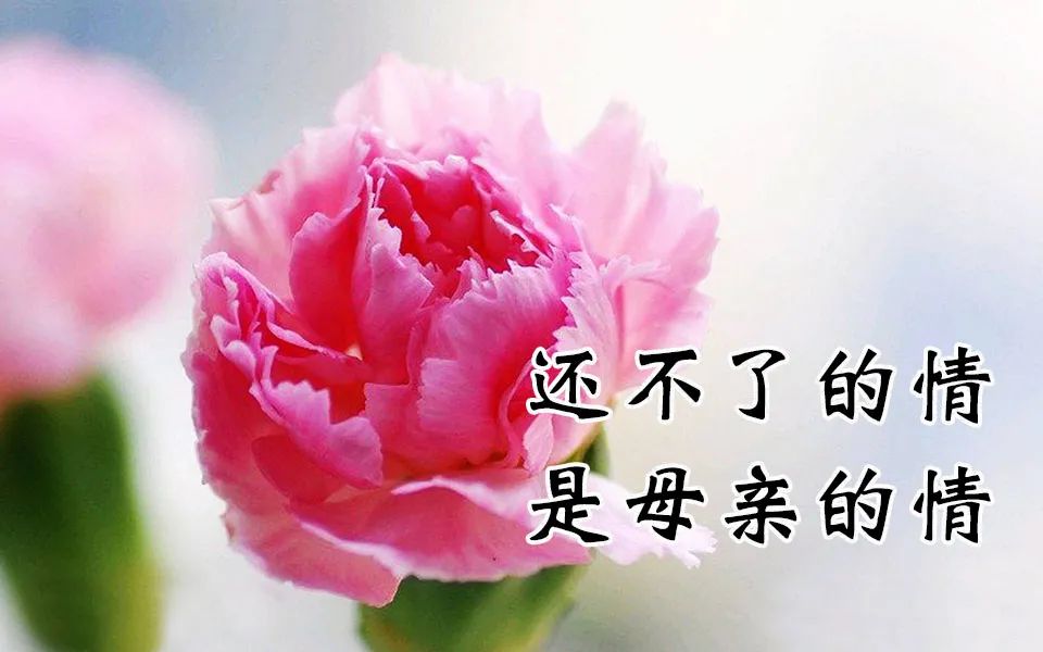 关于祝福妈妈长寿的祝福语「图片」 _飞翔号