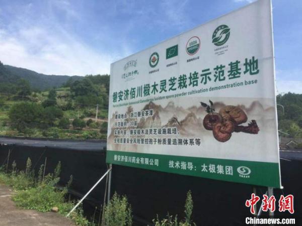 共富路上的浙江磐安：大盘山脉绵延共享观