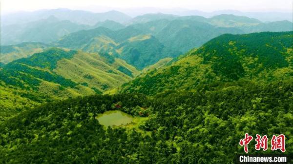 共富路上的浙江磐安：大盘山脉绵延共享观