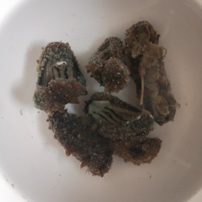 佛跳墻的做法 最正宗的做法,佛跳墻的做法 最正宗的做法視頻