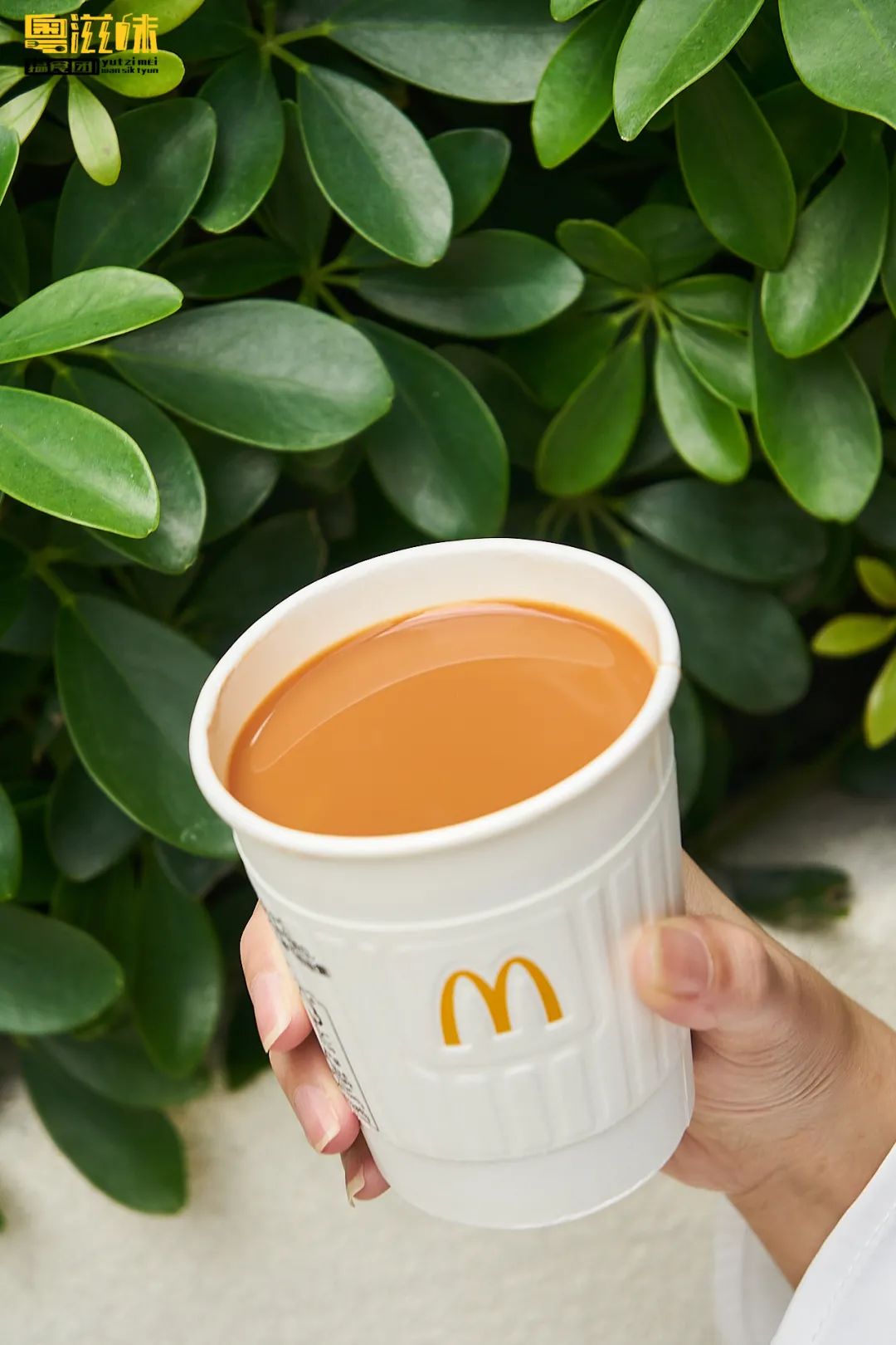 麦当劳早餐几点开始官宣麦当劳粤式丝滑奶茶上线限时开喝