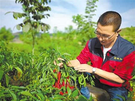 他们的名字，甘肃人民不会忘记——甘肃省脱贫攻坚先进个人先进集体群像