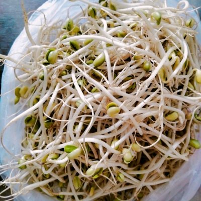 黃豆芽怎么做好吃,黃豆芽怎么做好吃又簡單的家常做法