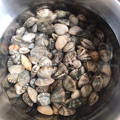 蛤蜊湯,蛤蜊湯的做法