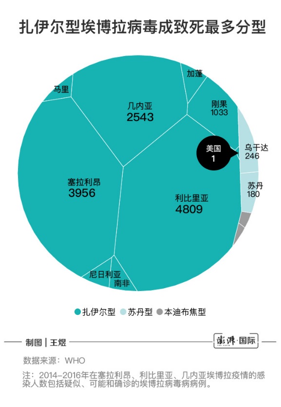 德堡“病毒暗史”：埃博拉病毒全球之旅及泄漏之虞带来的启示