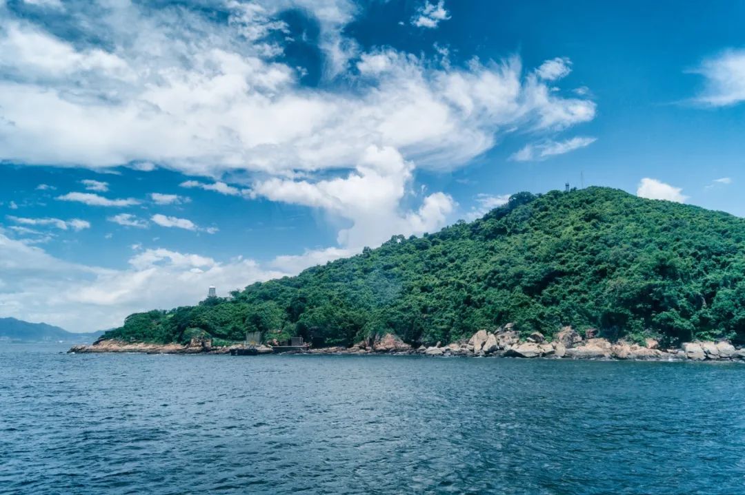 夜读 | 越忙，越要沉住气