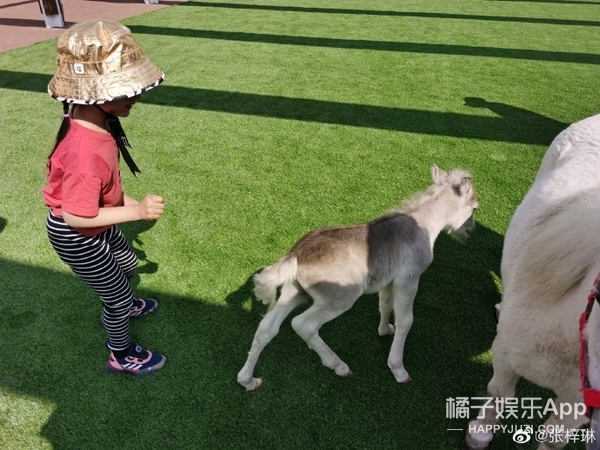 张梓琳老公(还记得世界小姐张梓琳吗？她又生了个女儿)