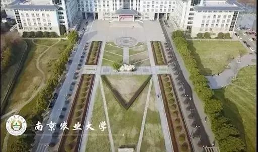 厉害！南京10所高校杀入中国大学百强