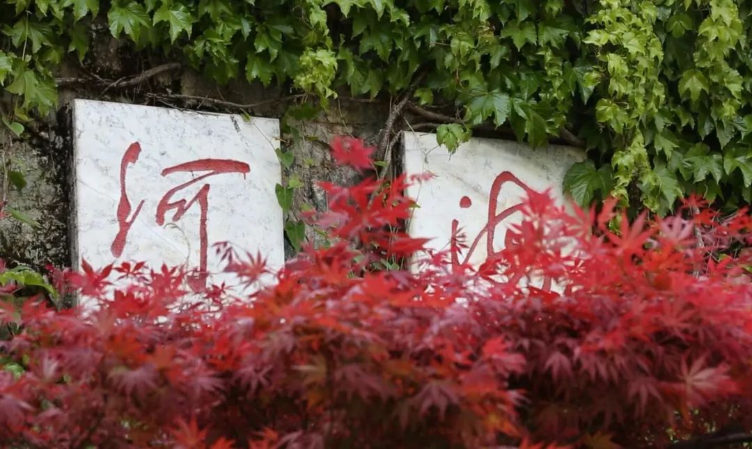 厉害！南京10所高校杀入中国大学百强