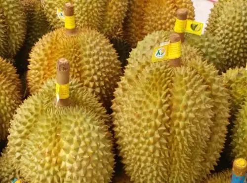 买榴莲不能挑开裂的?水果店员工教你1招,皮薄肉厚香又甜