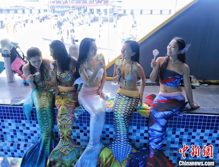 与海底生物伴游的新职业——“美人鱼”在中国悄然兴起