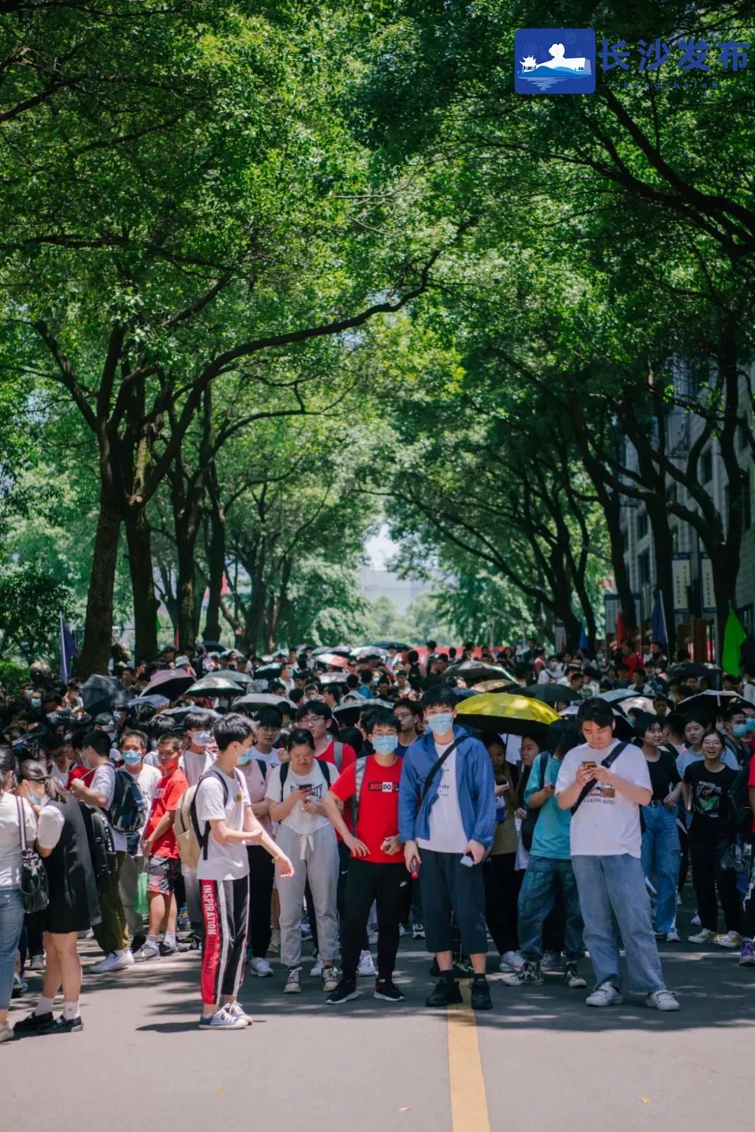 看！长沙最强少年团来了！