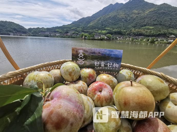 又到梅李飘香时，快来福州永泰嵩口镇“解馋”