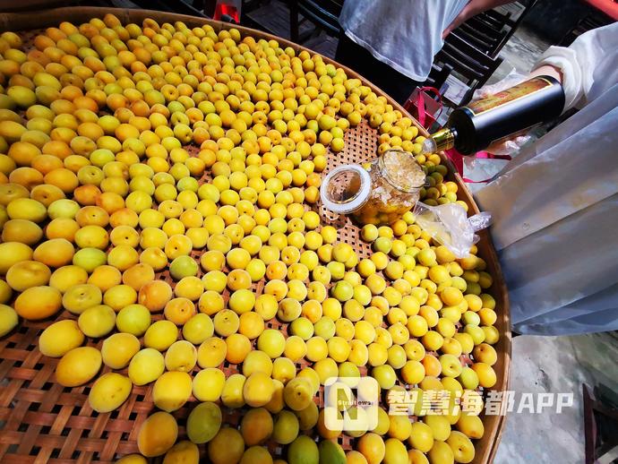 又到梅李飘香时，快来福州永泰嵩口镇“解馋”