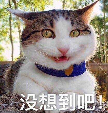 这次四六级翻译作文，哈哈哈哈哈哈