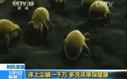 家里放了香薰后，竟有这么多意想不到的作用
