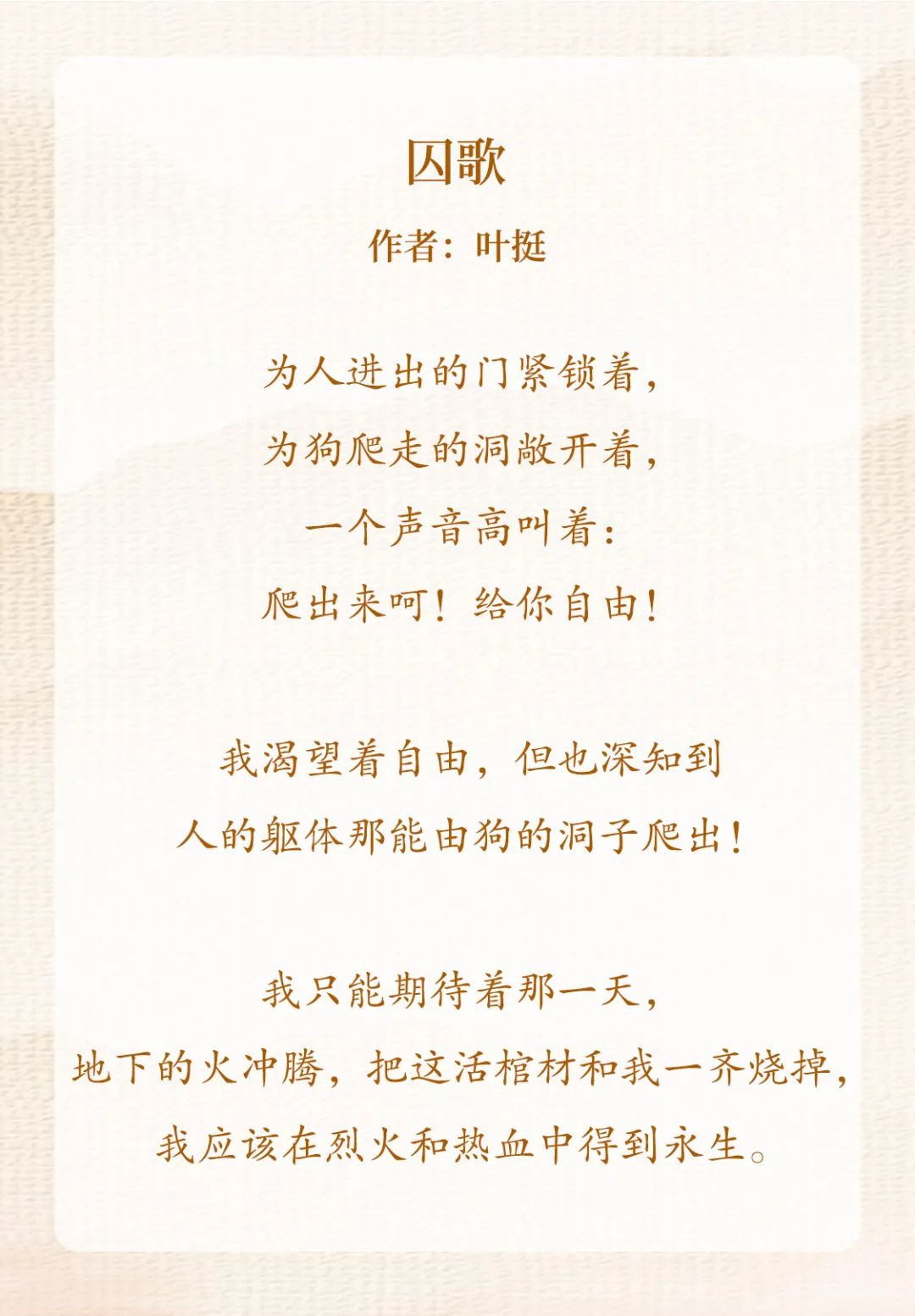 关于军长现代耽的美文 _晶羽文学网