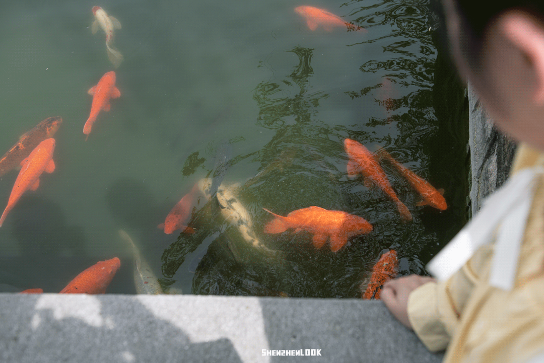 LOOK | 别人家的学校 · 上海大学