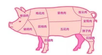 猪肉盖红章和蓝章的区别是？印章能吃吗？这些选猪肉的技巧请收好