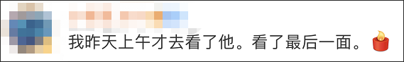 猪坚强图片(14岁高龄“猪坚强”离世，遗体已被冰冻)