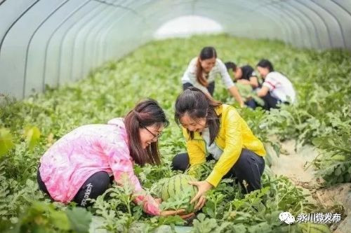 水晶西瓜冻,水晶西瓜冻怎么做