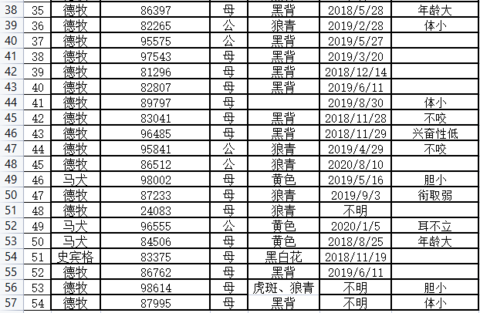 中国刑事警察学院扣除狗来消除狗：包括德国