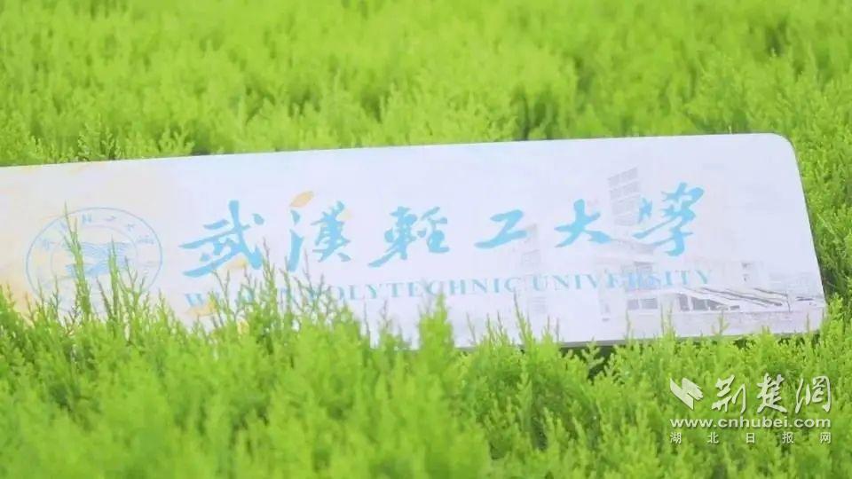 武漢輕工大學含金量(為什么不建議上武漢輕工大學)(圖10) 武漢輕工大學含金量(為什么不建議上武漢輕工大學)(圖10)