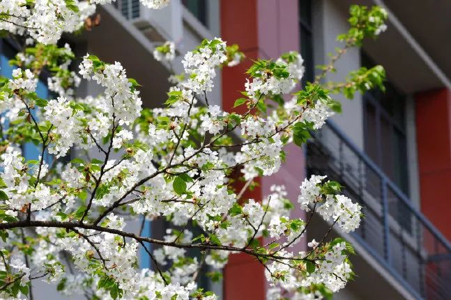 为什么一定要来双流念大学？这些理由让你无法拒绝...