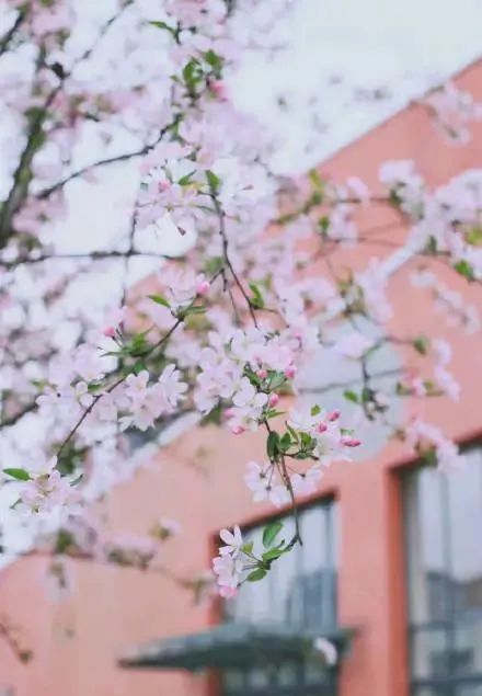 为什么一定要来双流念大学？这些理由让你无法拒绝...