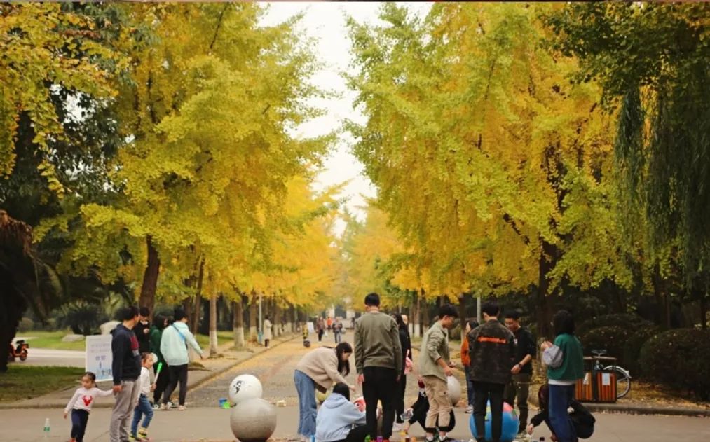 为什么一定要来双流念大学？这些理由让你无法拒绝...