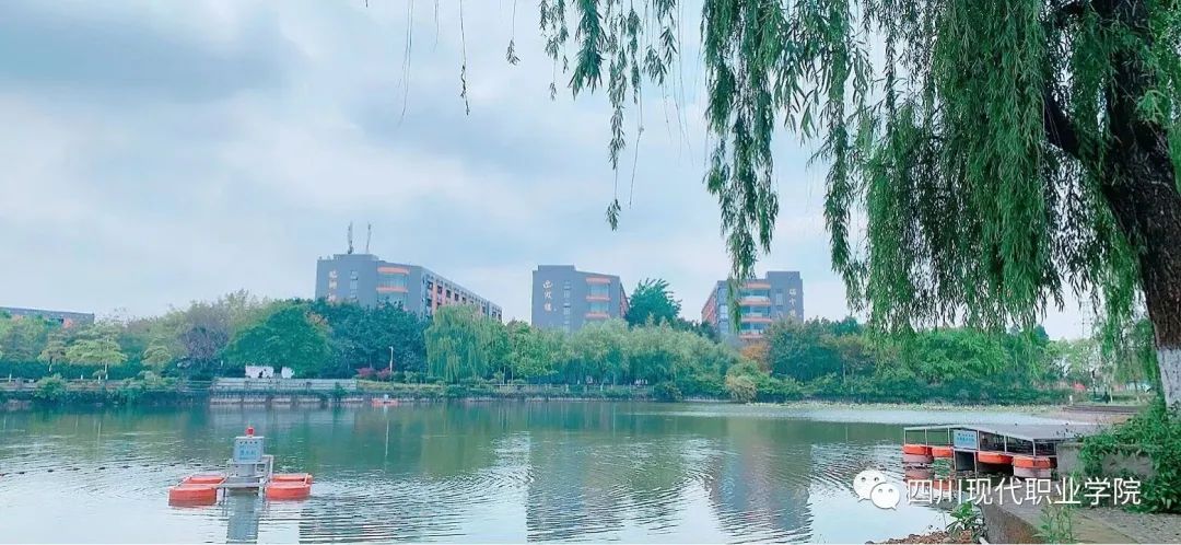 为什么一定要来双流念大学？这些理由让你无法拒绝...