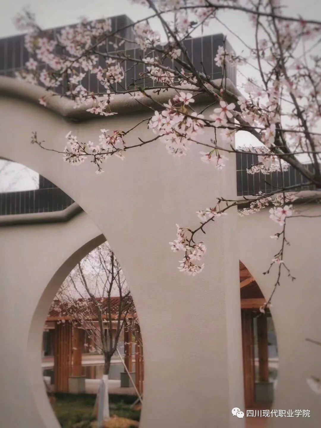 为什么一定要来双流念大学？这些理由让你无法拒绝...