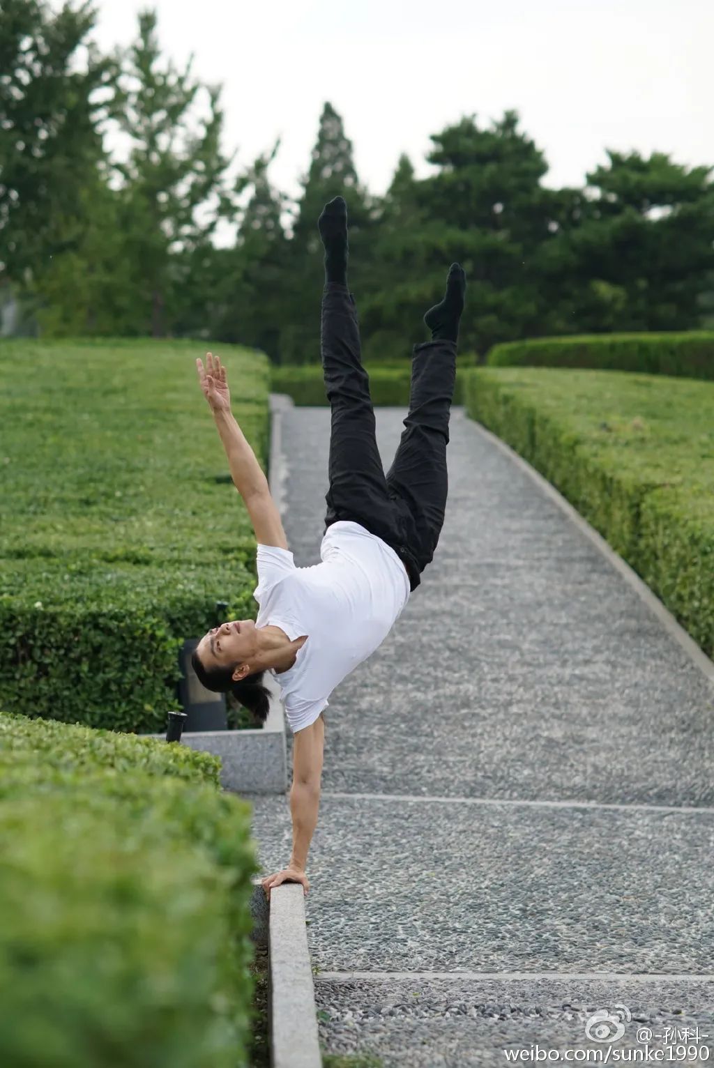 我直接给孙科跪了！教科书般的展示
