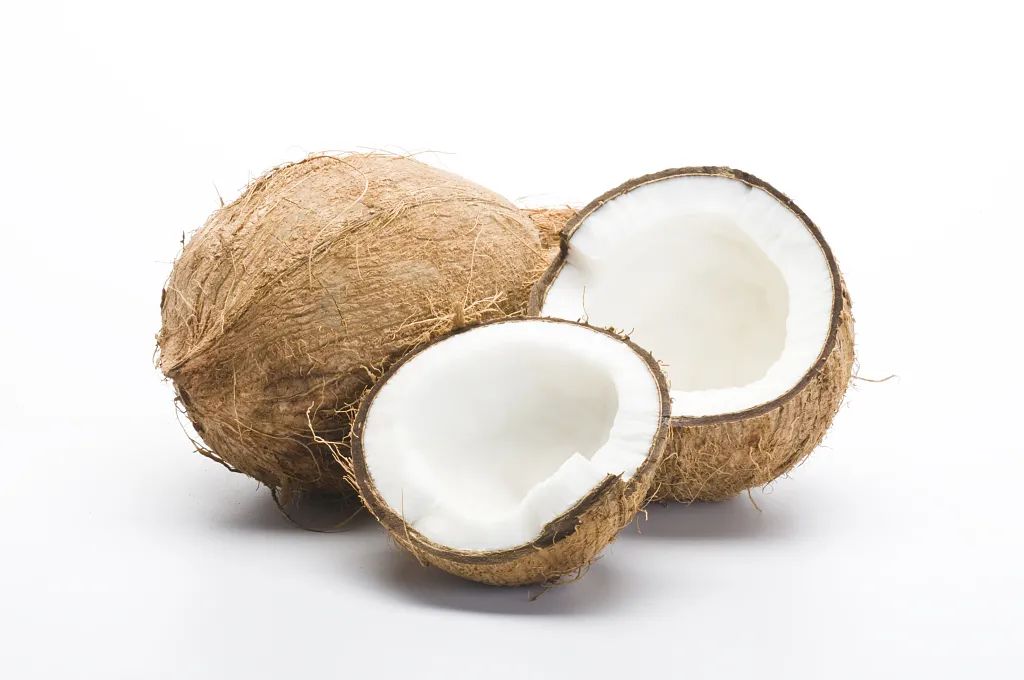 椰子肉的功效与作用(椰子的椰肉怎么吃) - 上海苗木信息网