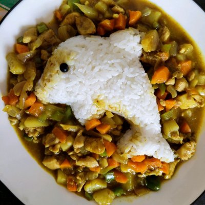 咖喱雞飯,咖喱雞飯的做法大全