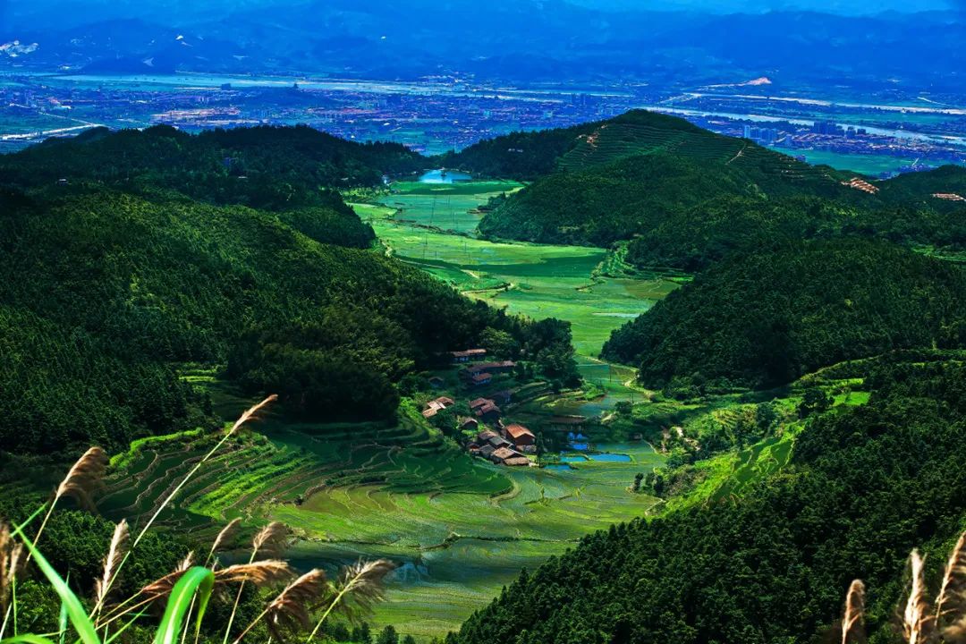 凉爽一整夏 | 热热热热热吗？抚州这7个地方藏着22℃的夏天~