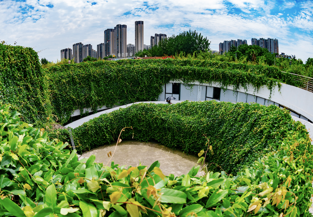 晨读成都 | 最新放假通知