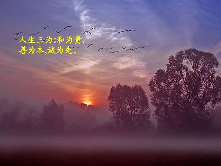 青未了/半生了，悟出了点道理