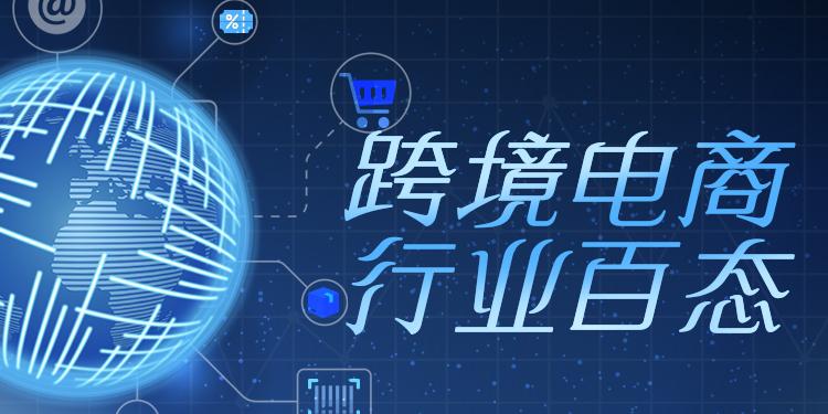 不傍大平台避开封号风波：中国卖家海外独立建站，估值数千亿