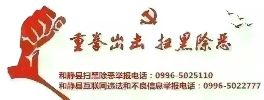 【我为群众办实事】和静县惠民惠农补贴查询系统正式上线！