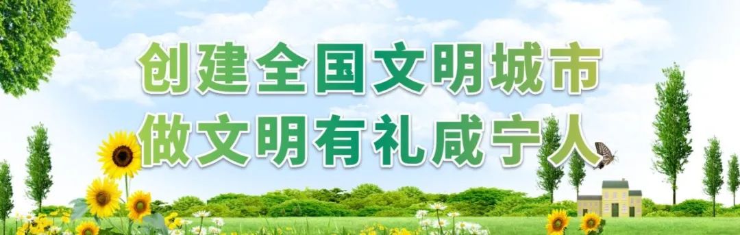 首度公开！咸宁市第二届运动会口号、会徽、吉祥物分别是...