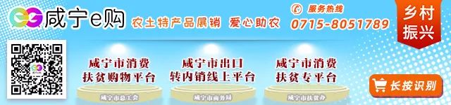 首度公开！咸宁市第二届运动会口号、会徽、吉祥物分别是...