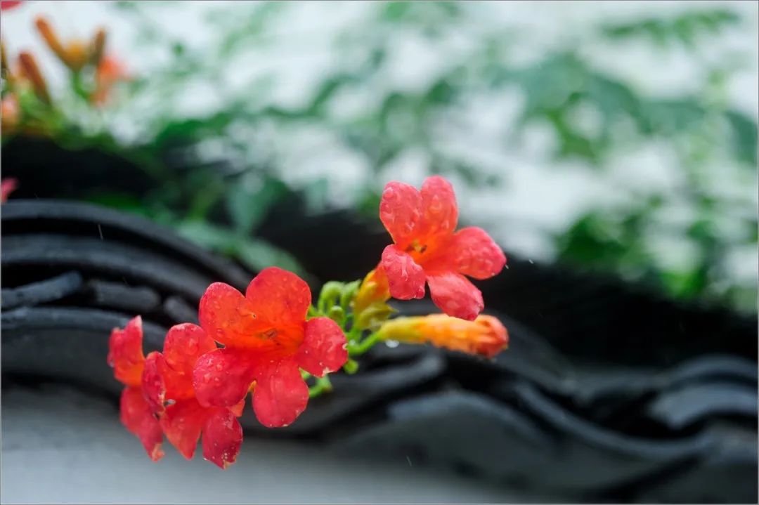 心情好，一切都好