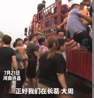 鲁A、鲁M、鲁K 新乡整条街都是山东救援队！网友：可以永远相信山东