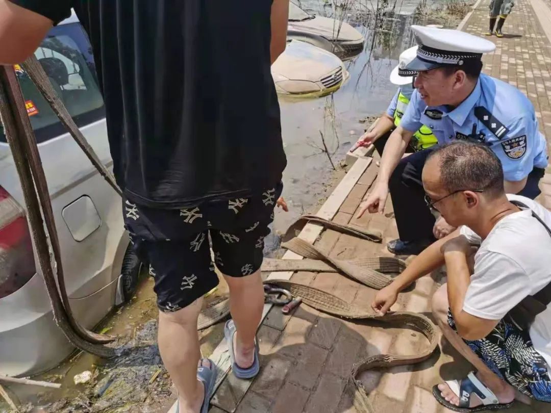 正能量丨暴风骤雨显担当，鹤壁交警全警动员保障人民群众生命财产安全